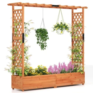 Raised Garden Bed with Trellis